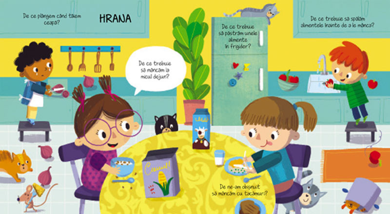 Lumea mea. De ce? (cu clapete)